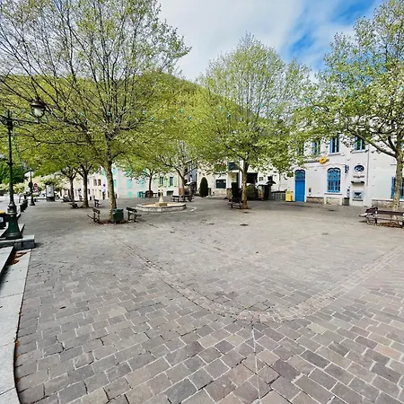 Centre-ville Proche Des Telecabines Daire